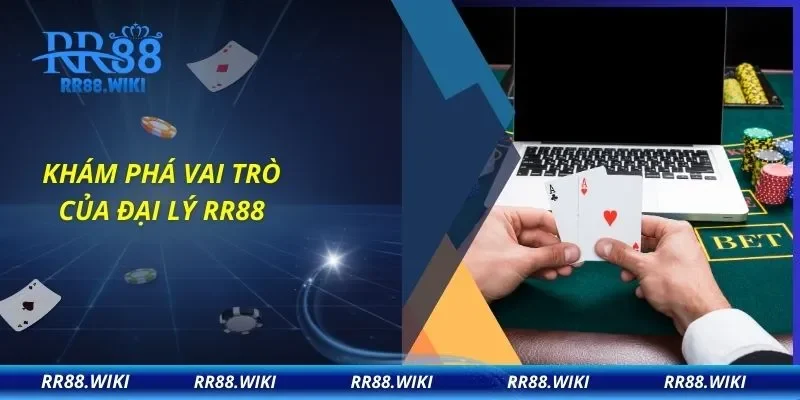 Khám phá vai trò của đại lý RR88